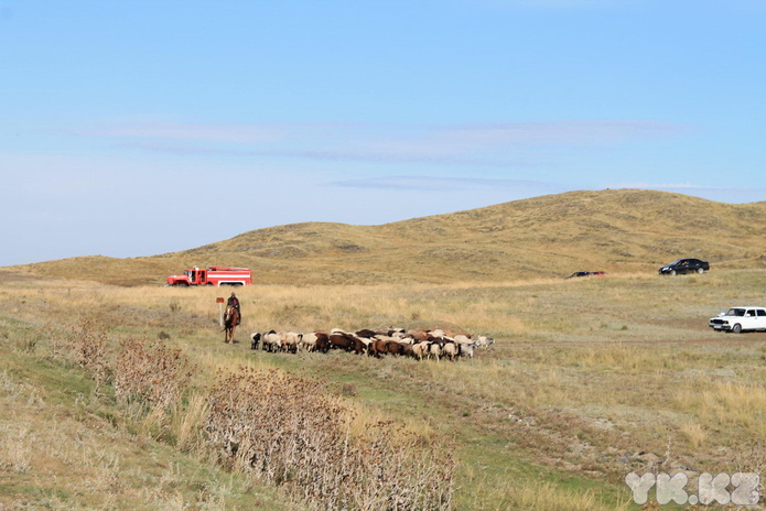 Ислам Абишев: можно быть лучшими