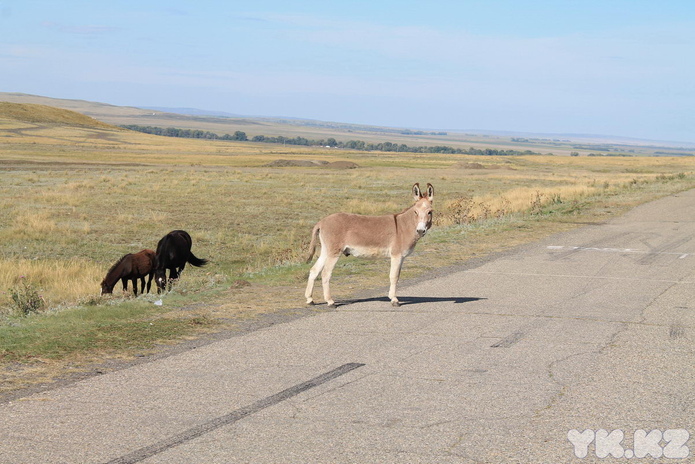 Ислам Абишев: можно быть лучшими
