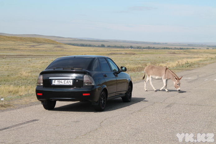 Ислам Абишев: можно быть лучшими