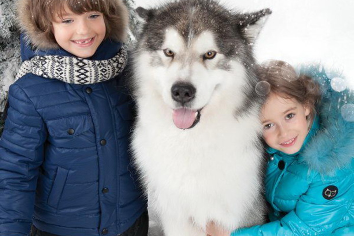 Тестируй! - PR