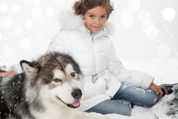 Тестируй! - PR