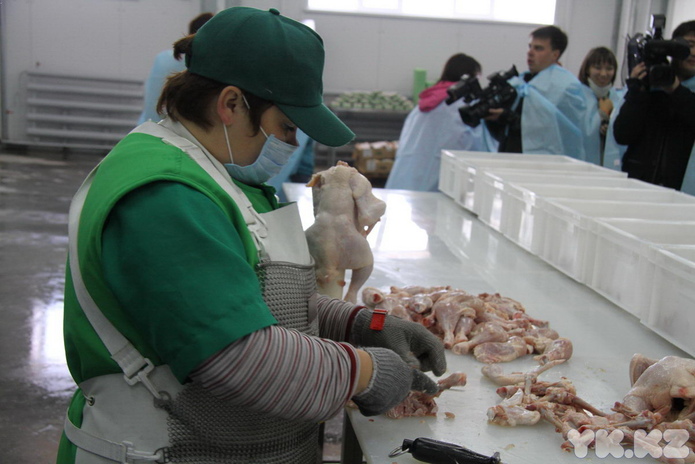 Главное - мясо (+фото)