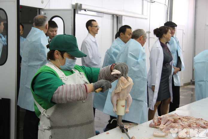 Главное - мясо (+фото)