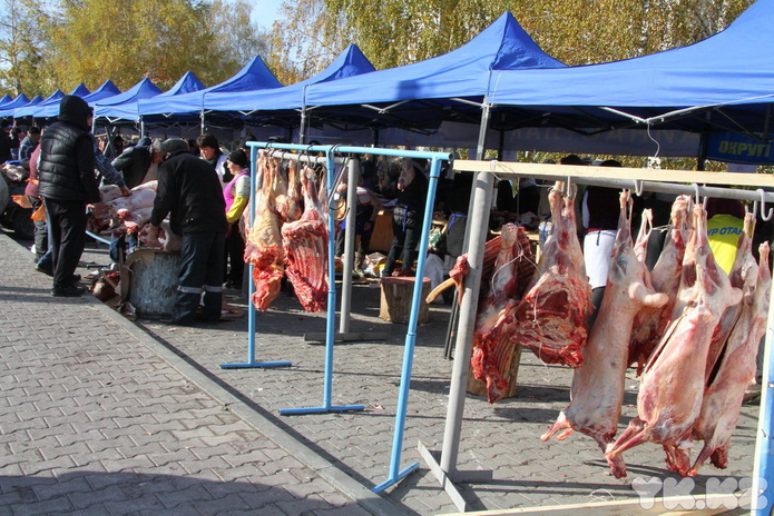 Где взять говядину по 900? (+фото)