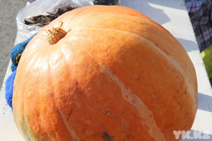 Где взять говядину по 900? (+фото)