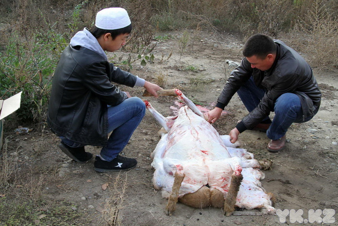 Праздник согласия (+фото)