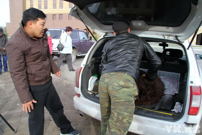 Праздник согласия (+фото)