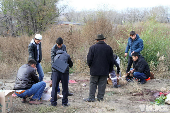 Праздник согласия (+фото)