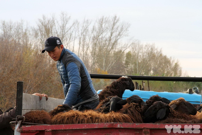 Праздник согласия (+фото)