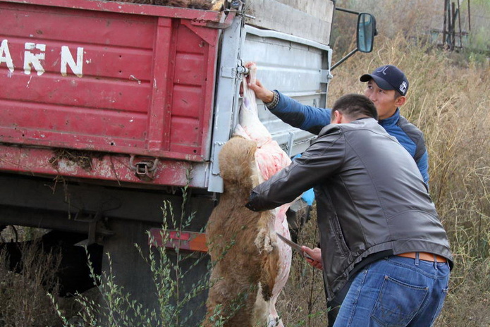 Праздник согласия (+фото)