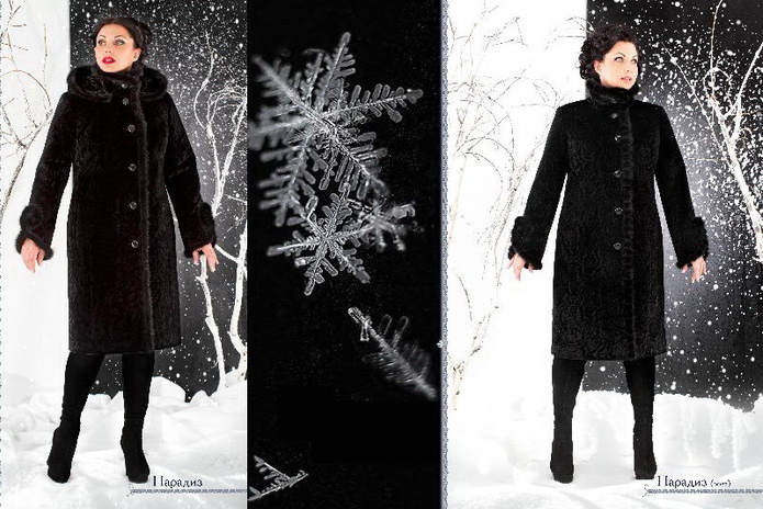 Теплое отношение к холодам  - PR