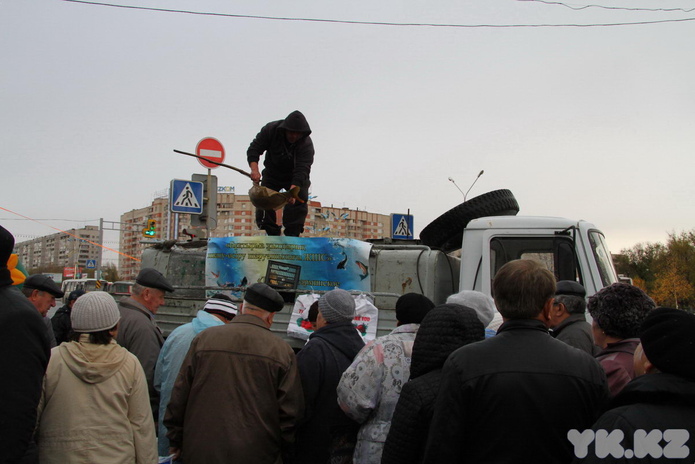 Эх, хвост, чешуя (+фото)