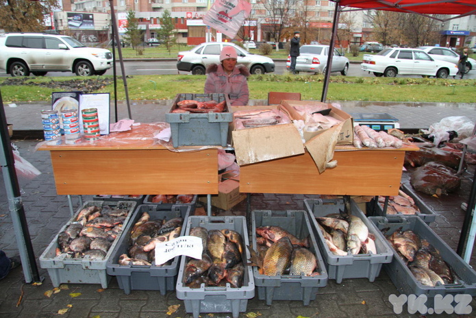 Эх, хвост, чешуя (+фото)