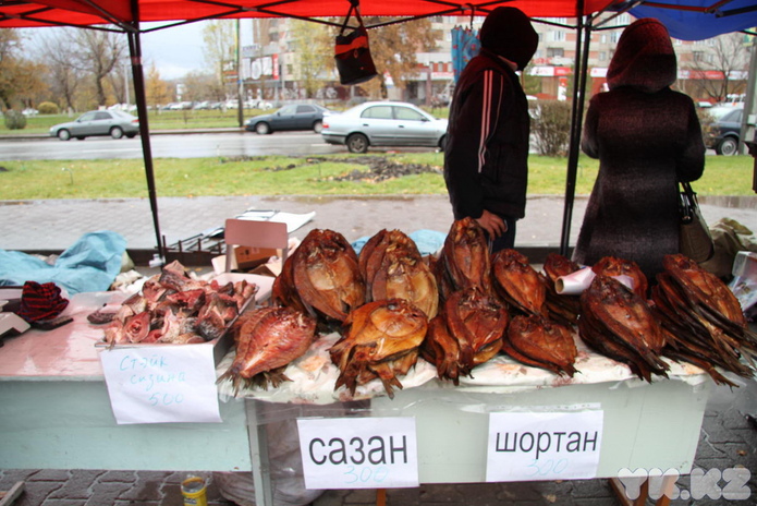 Эх, хвост, чешуя (+фото)