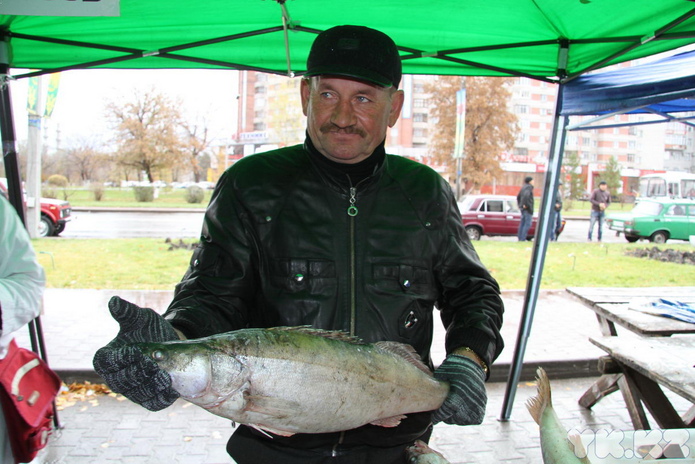 Эх, хвост, чешуя (+фото)