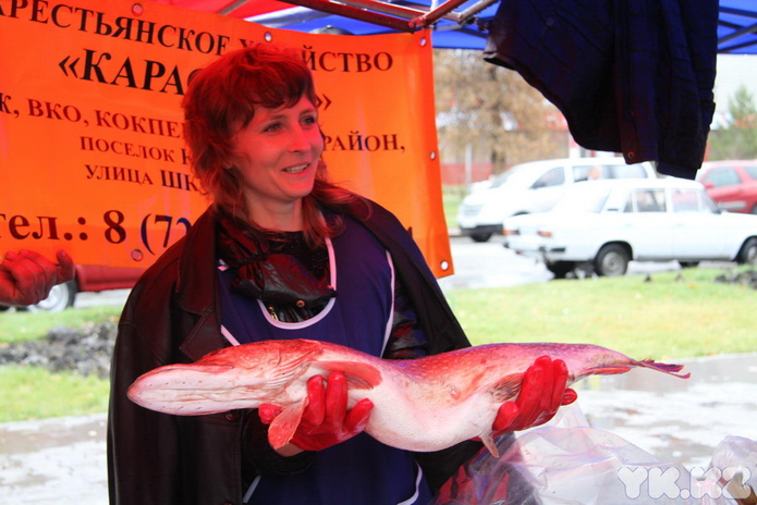 Эх, хвост, чешуя (+фото)