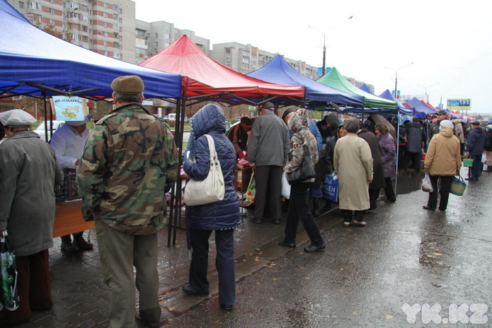 Эх, хвост, чешуя (+фото)