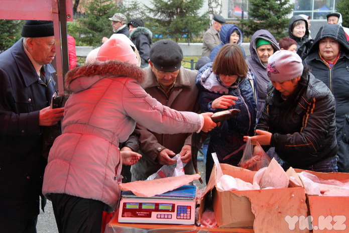 Эх, хвост, чешуя (+фото)