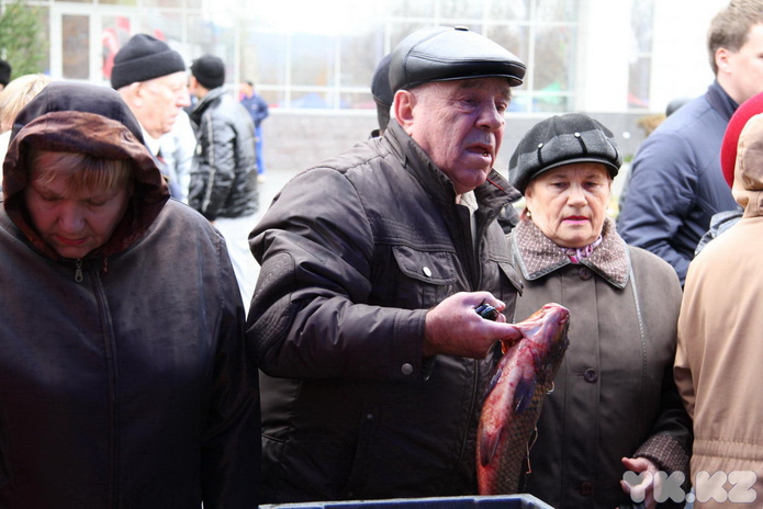 Эх, хвост, чешуя (+фото)