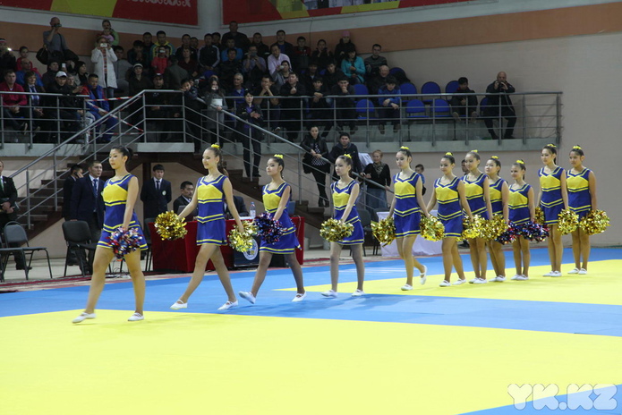 Дворец принимает спортсменов (+фото)