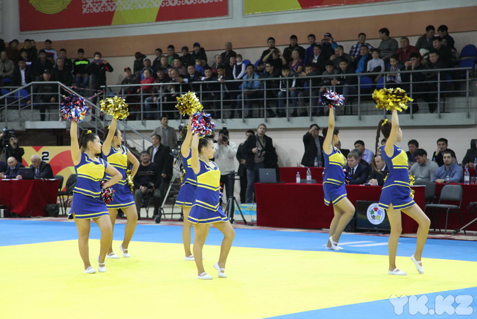 Дворец принимает спортсменов (+фото)