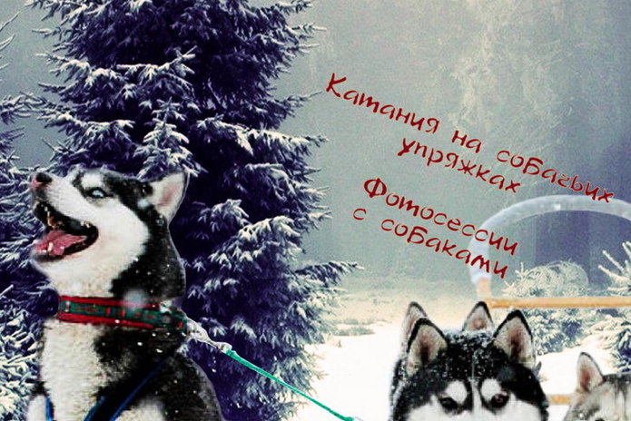 Отдыхай в декабре! - PR