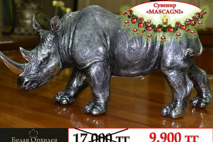 Святой хирург