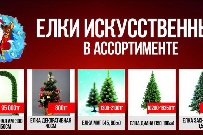 Боевые подруги (+фото)