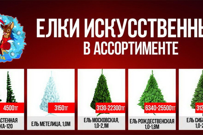 Боевые подруги (+фото)