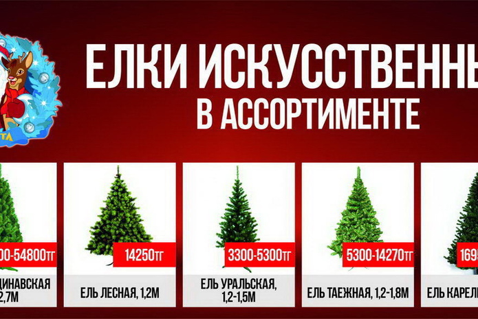 Боевые подруги (+фото)