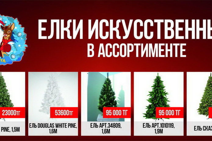 Боевые подруги (+фото)