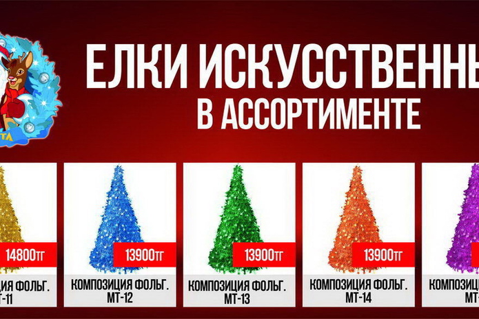 Боевые подруги (+фото)