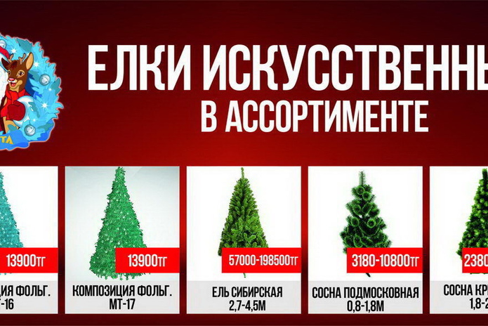 Боевые подруги (+фото)