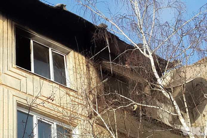 Вынес из огня (+фото)