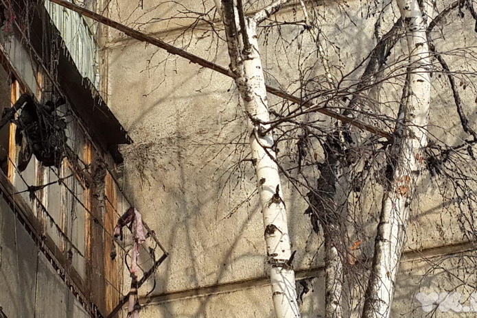 Вынес из огня (+фото)