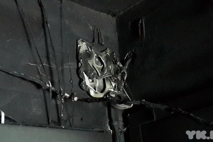 Вынес из огня (+фото)