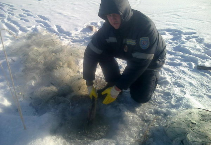 Ловили незаконно