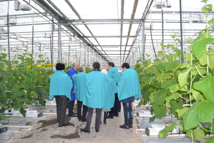 Убедился сам