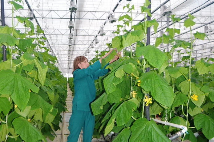 Убедился сам