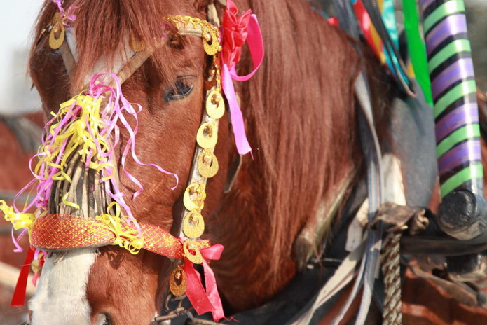 Весну звали (+фото)