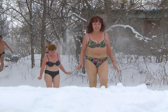 Моржи и моржихи