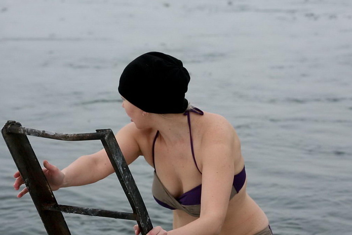 Моржи и моржихи