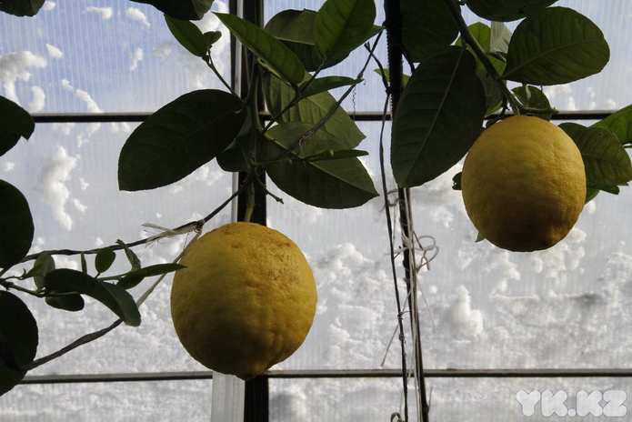 Что делает женщину счастливой? - PR