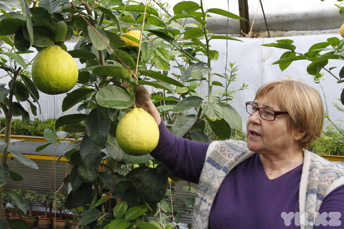 Что делает женщину счастливой? - PR