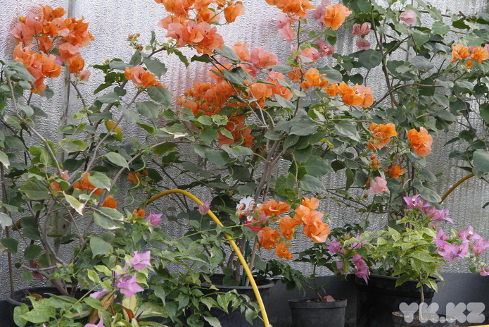 Что делает женщину счастливой? - PR