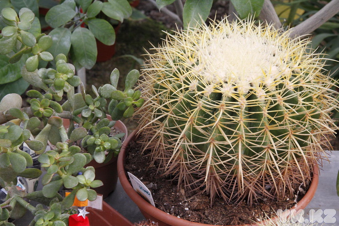 Что делает женщину счастливой? - PR