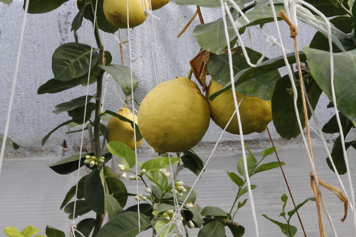 Что делает женщину счастливой? - PR