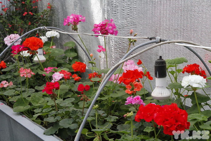 Что делает женщину счастливой? - PR