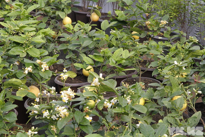 Что делает женщину счастливой? - PR