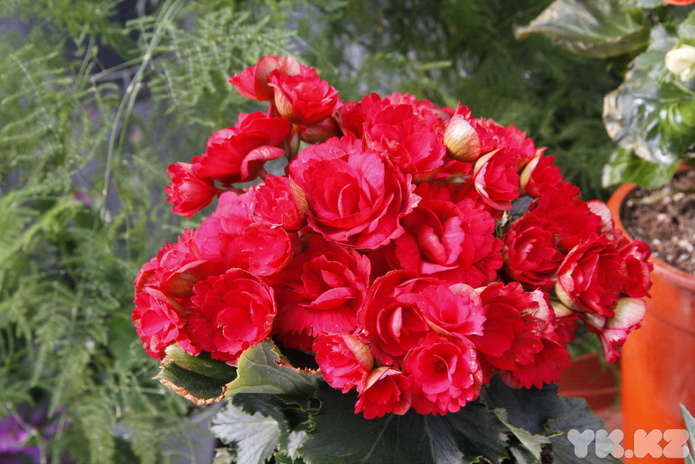 Что делает женщину счастливой? - PR